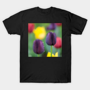 Dark-violet Tulips Flower T-Shirt